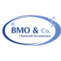 BMO & CO Chartered Accountants logo